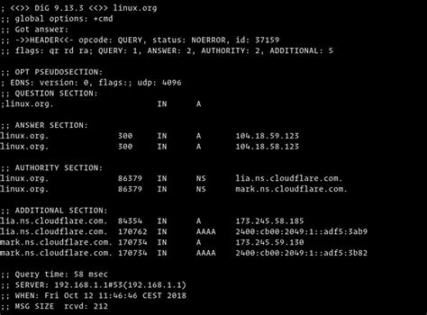 dig output